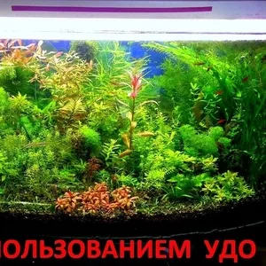 Удобрения(микро,  макро,  калий,  железо) для аквариумных растений....