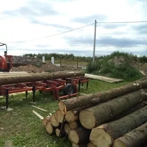 Распилим лес у вас на участке. 