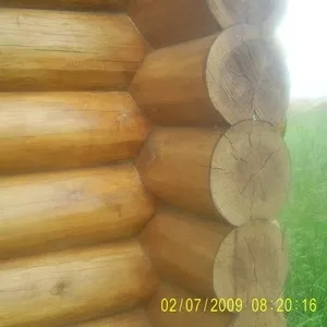 Рубка срубов из леса заказчика. Любой сруб.