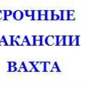 Требуются специалисты по монолиту.