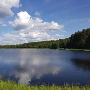 Продается участок , невероятной красоты места.Брестское направление.