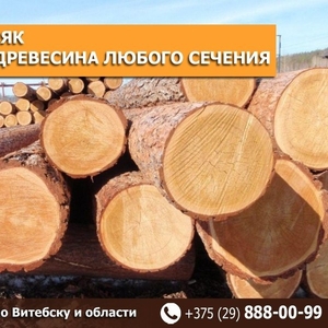 Деловая древесина любого сечения 