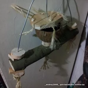 Комплексы, площадки, стенды, игрушки, аксессуары и др.Для попугаев.Выбор