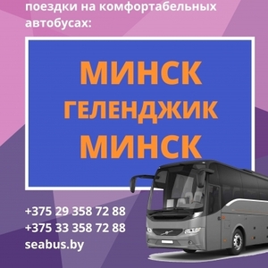 Автобус Минск – Геленджик – Минск + туры в Геленджик