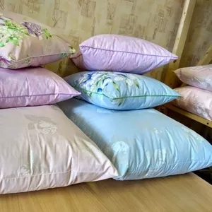 Химчистка подушек выезд на дом Брест