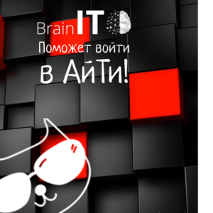 BrainIT поможет войти в АйТи