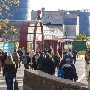 Сдаются в аренду помещения у метро Пролетарская