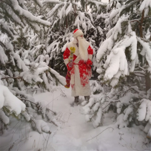 Дед Мороз и Снегурочка в детский сад и на дом!