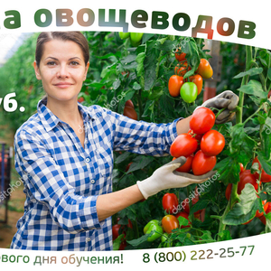 Продам Овощевод (Заплатим за ваше обучение)