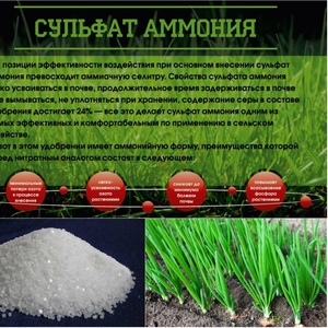 Сульфат аммония гранулированный,  15кг;  50кг;  800кг (РФ)