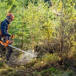 Нужен человек для работы в лесу,  разнорабочим. Польша