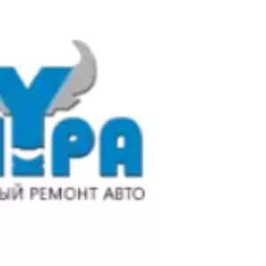 ООО Миура - Сеть СТО