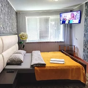 Квартира на сутки часы в городе Лида 
