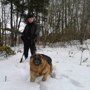  ИНСТРУКТОР-КИНОЛОГ 