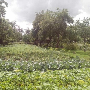 Продам участок с дачным домом