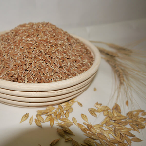 Продаю зерно,  пшеница для проращивания.