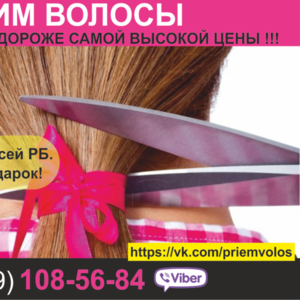 Продать волосы Минск. Работаем по всей РБ. Цена волос самая дорогая